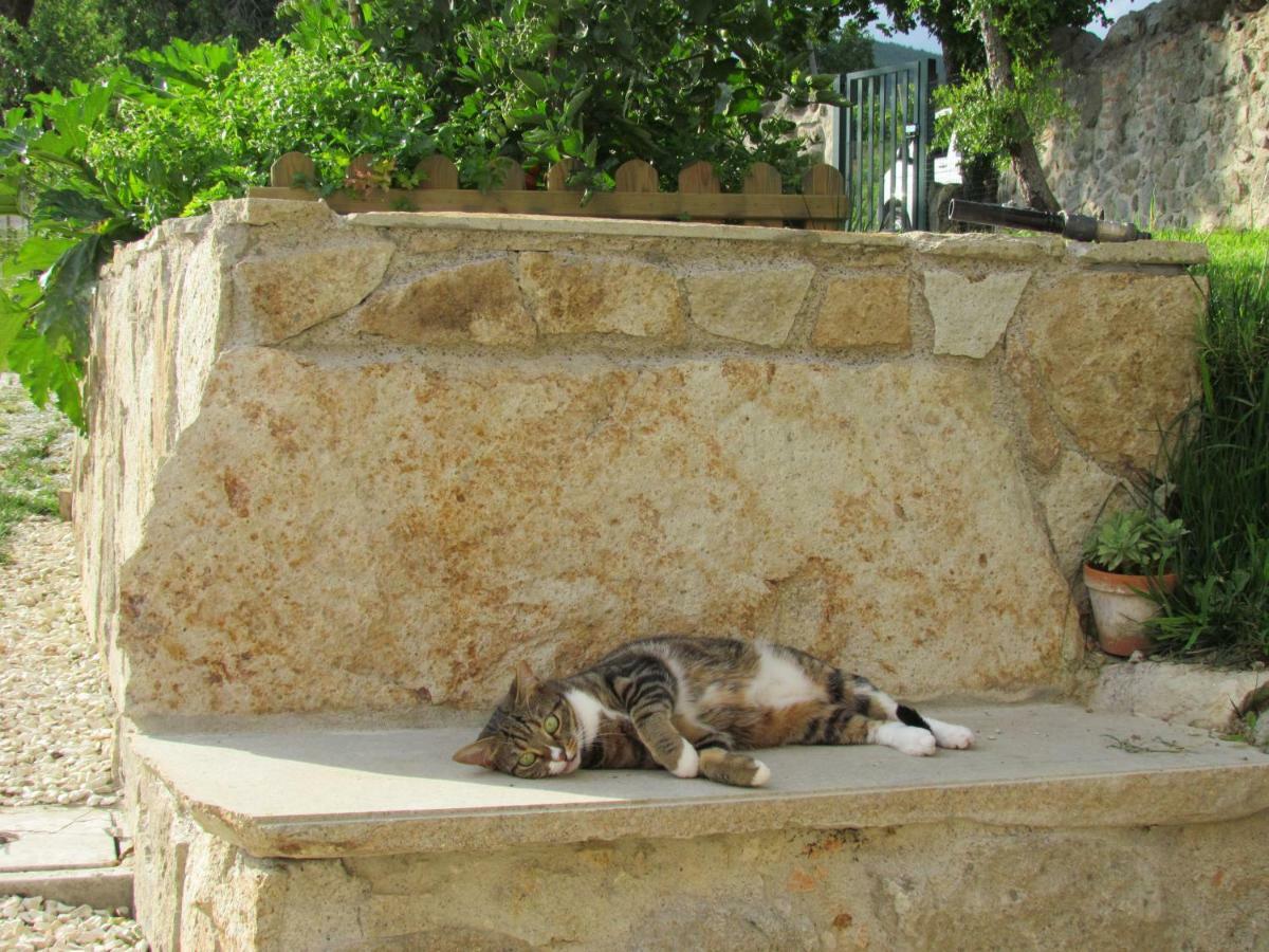 I Grilli B&B Baone Εξωτερικό φωτογραφία