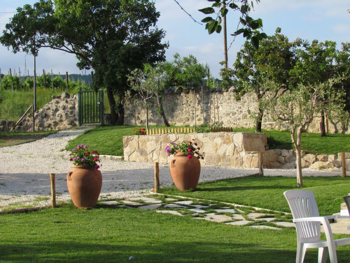 I Grilli B&B Baone Εξωτερικό φωτογραφία